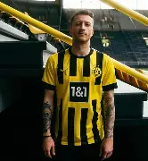 乐鱼官网-多特蒙德冲刺阶段再遭质疑，志在NBA常规赛名次提升，球迷炸锅，临场指挥获称赞的简单介绍